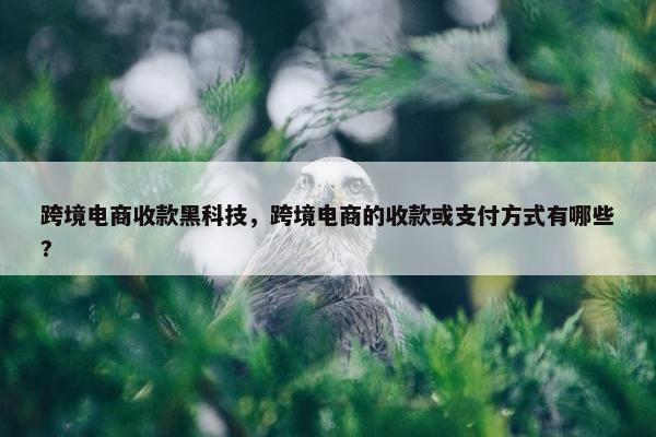 跨境电商收款黑科技，跨境电商的收款或支付方式有哪些?