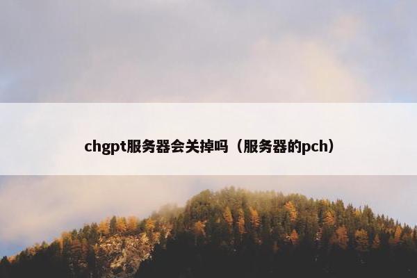 chgpt服务器会关掉吗（服务器的pch）