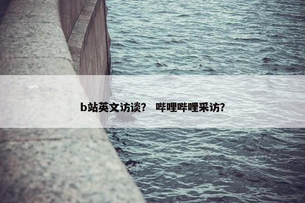 b站英文访谈？ 哔哩哔哩采访？