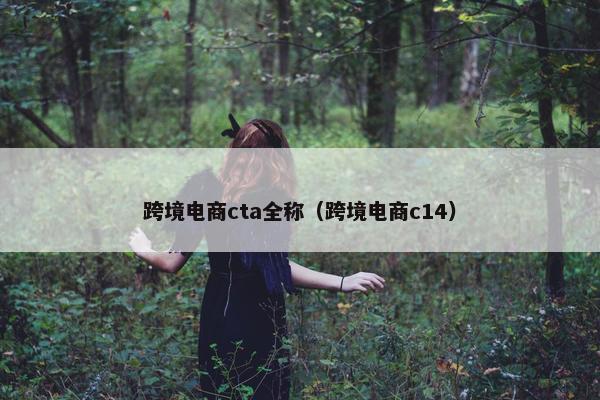 跨境电商cta全称（跨境电商c14）