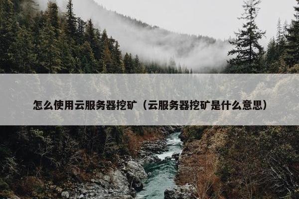 怎么使用云服务器挖矿（云服务器挖矿是什么意思）
