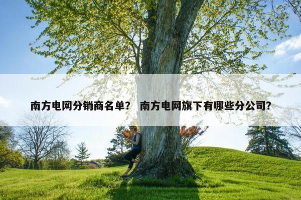 南方电网分销商名单？ 南方电网旗下有哪些分公司？