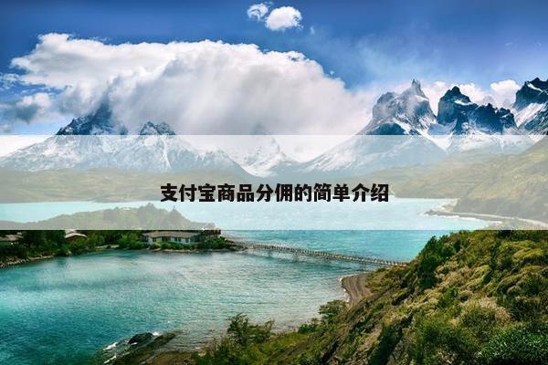 支付宝商品分佣的简单介绍