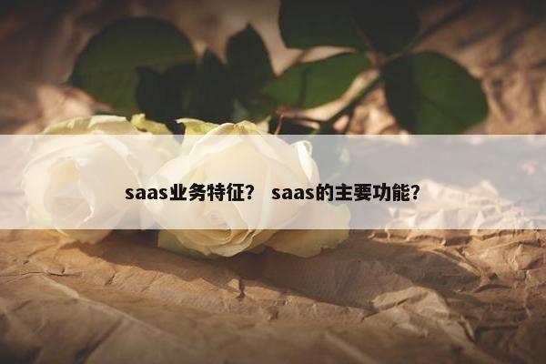 saas业务特征？ saas的主要功能？
