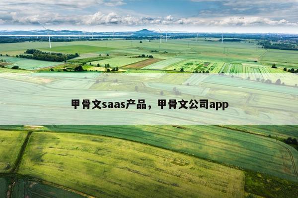 甲骨文saas产品，甲骨文公司app