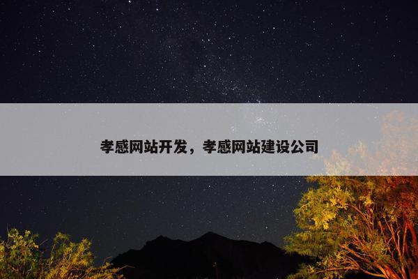 孝感网站开发，孝感网站建设公司