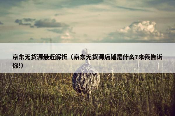 京东无货源最近解析（京东无货源店铺是什么?来我告诉你!）