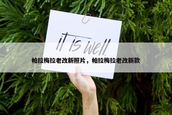 帕拉梅拉老改新照片，帕拉梅拉老改新款