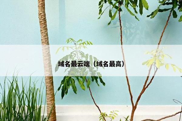 域名最云端（域名最高）