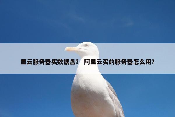 里云服务器买数据盘？ 阿里云买的服务器怎么用？