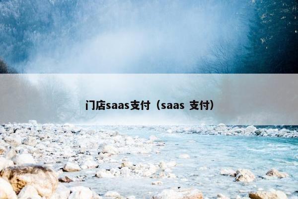 门店saas支付（saas 支付）