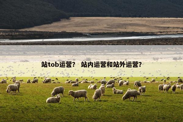站tob运营？ 站内运营和站外运营？