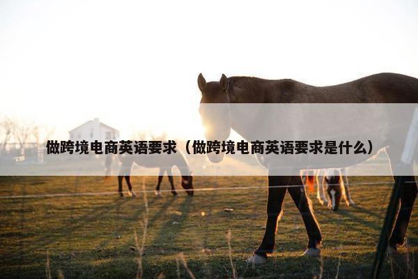做跨境电商英语要求（做跨境电商英语要求是什么）