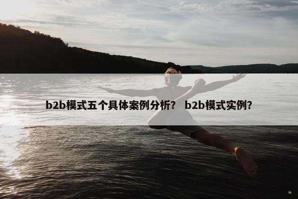 b2b模式五个具体案例分析？ b2b模式实例？