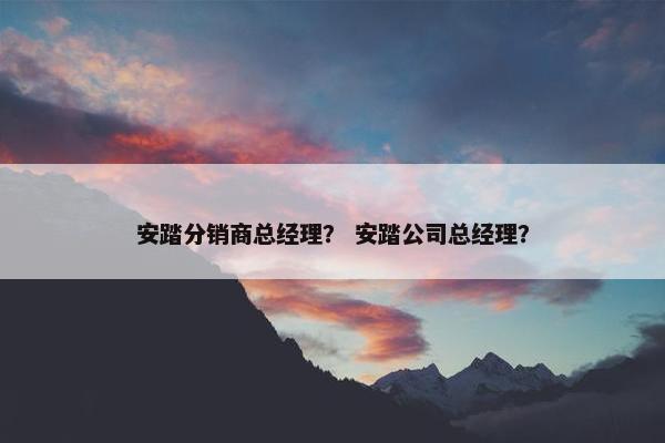 安踏分销商总经理？ 安踏公司总经理？