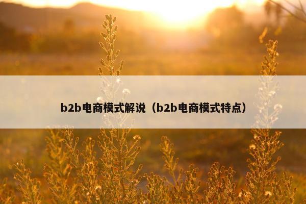b2b电商模式解说（b2b电商模式特点）