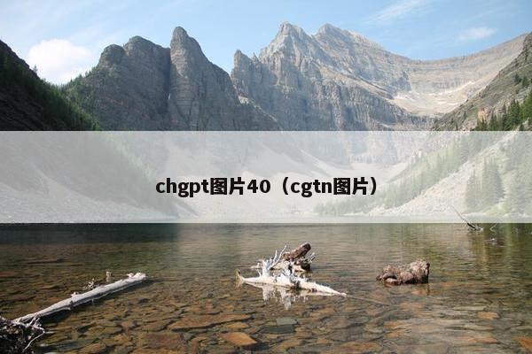 chgpt图片40（cgtn图片）