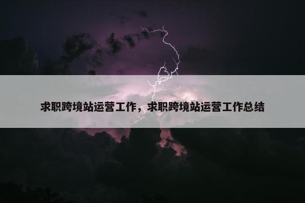 求职跨境站运营工作，求职跨境站运营工作总结