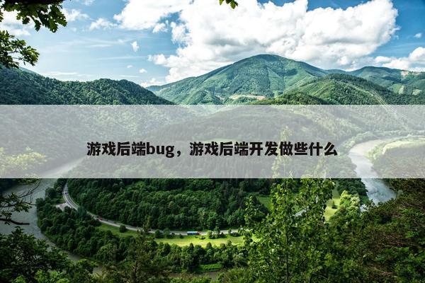 游戏后端bug，游戏后端开发做些什么