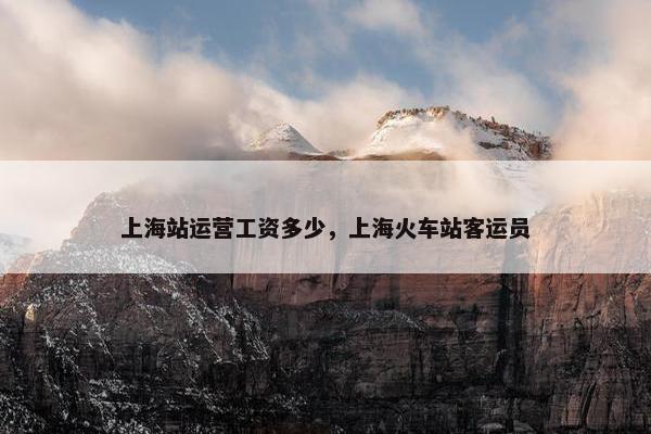 上海站运营工资多少，上海火车站客运员