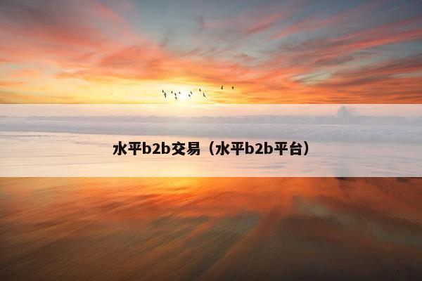 水平b2b交易（水平b2b平台）