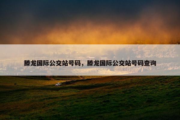 滕龙国际公交站号码，滕龙国际公交站号码查询