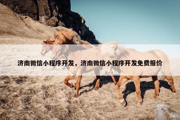 济南微信小程序开发，济南微信小程序开发免费报价