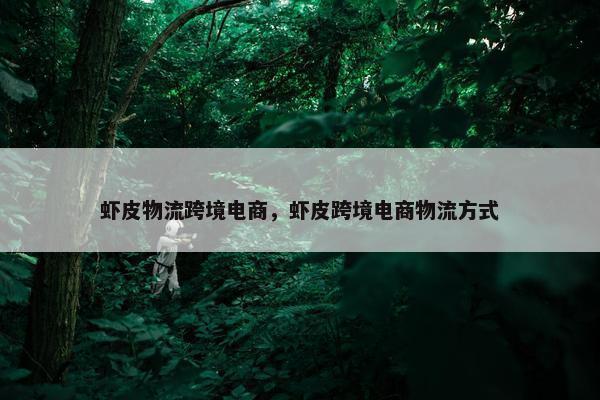 虾皮物流跨境电商，虾皮跨境电商物流方式