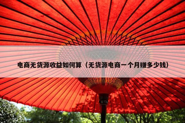 电商无货源收益如何算（无货源电商一个月赚多少钱）