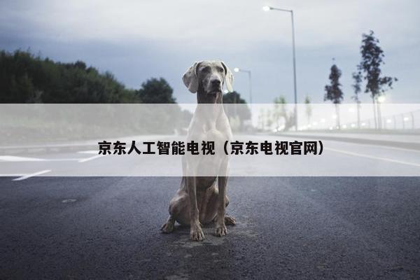 京东人工智能电视（京东电视官网）