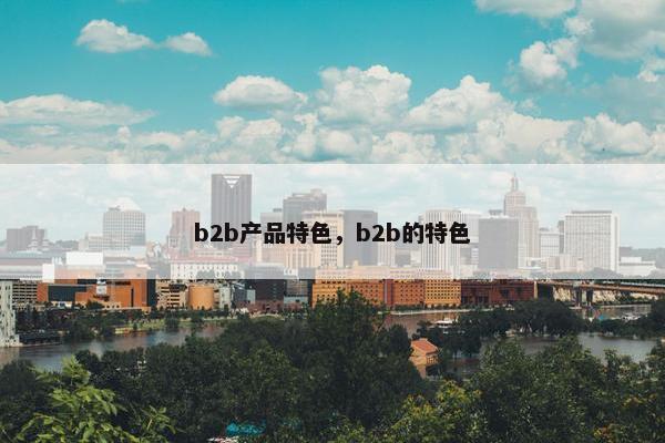 b2b产品特色，b2b的特色