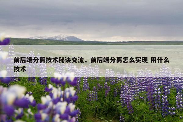 前后端分离技术秘诀交流，前后端分离怎么实现 用什么技术
