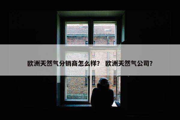 欧洲天然气分销商怎么样？ 欧洲天然气公司？