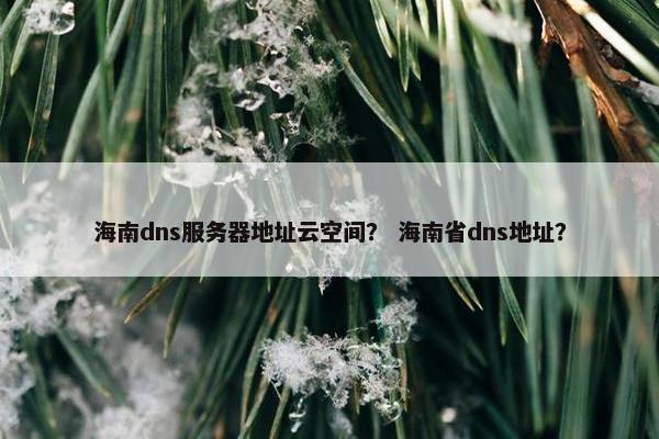 海南dns服务器地址云空间？ 海南省dns地址？