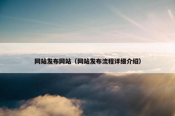 网站发布网站（网站发布流程详细介绍）