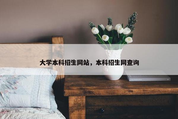 大学本科招生网站，本科招生网查询