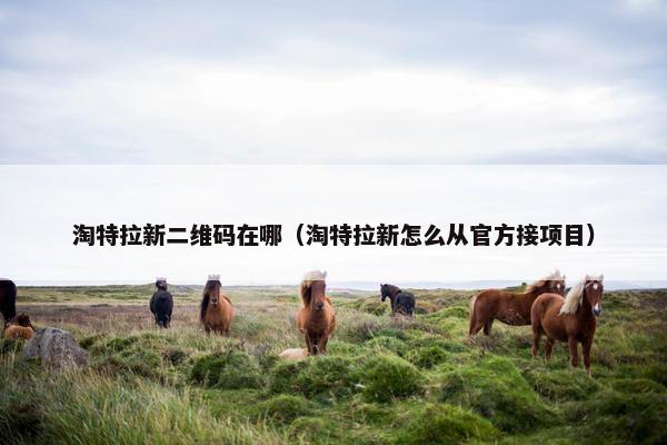 淘特拉新二维码在哪（淘特拉新怎么从官方接项目）
