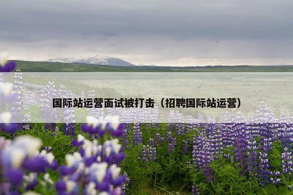 国际站运营面试被打击（招聘国际站运营）