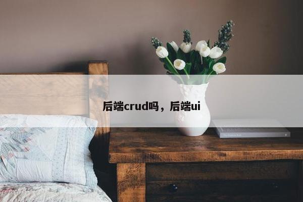 后端crud吗，后端ui