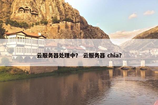 云服务器处理中？ 云服务器 chia？