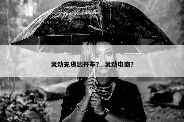 灵动无货源开车？ 灵动电商？