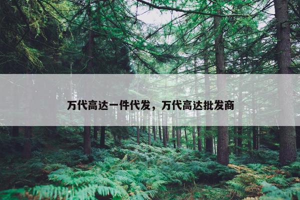 万代高达一件代发，万代高达批发商