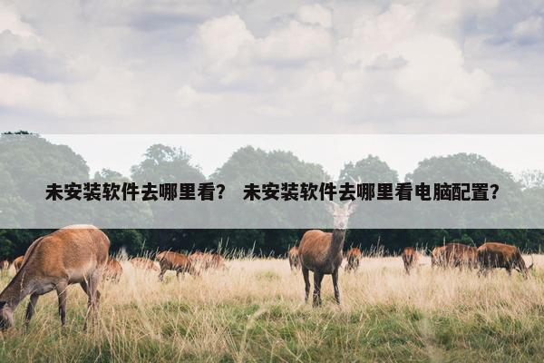 未安装软件去哪里看？ 未安装软件去哪里看电脑配置？