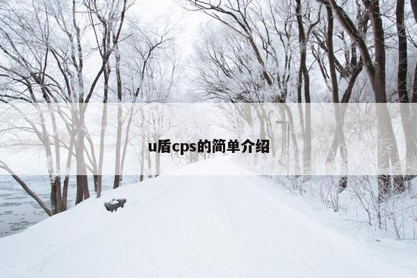 u盾cps的简单介绍