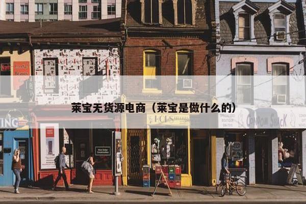 莱宝无货源电商（莱宝是做什么的）