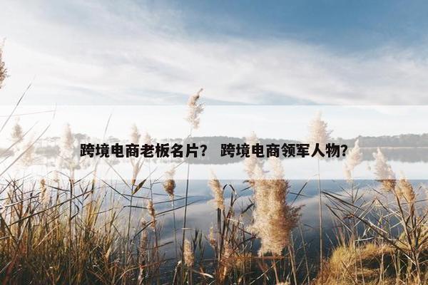 跨境电商老板名片？ 跨境电商领军人物？