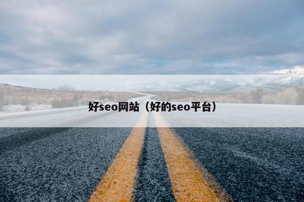 好seo网站（好的seo平台）