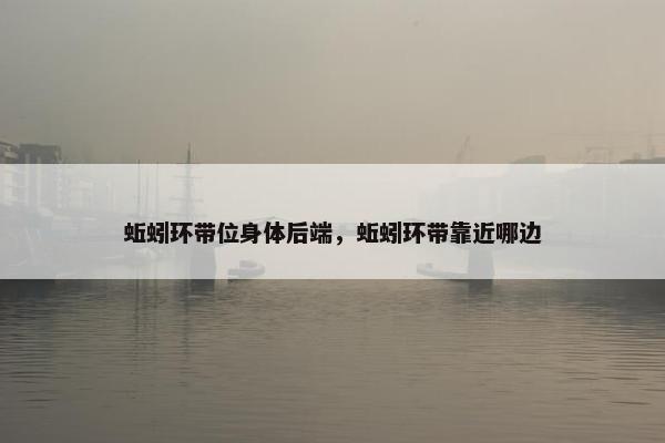 蚯蚓环带位身体后端，蚯蚓环带靠近哪边