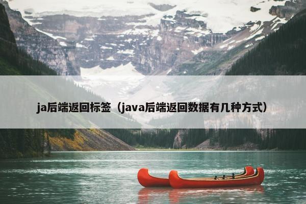 ja后端返回标签（java后端返回数据有几种方式）