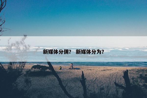 新媒体分佣？ 新媒体分为？